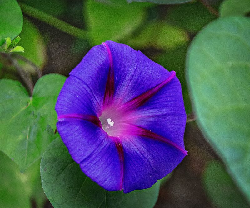 память о летеphoto preview