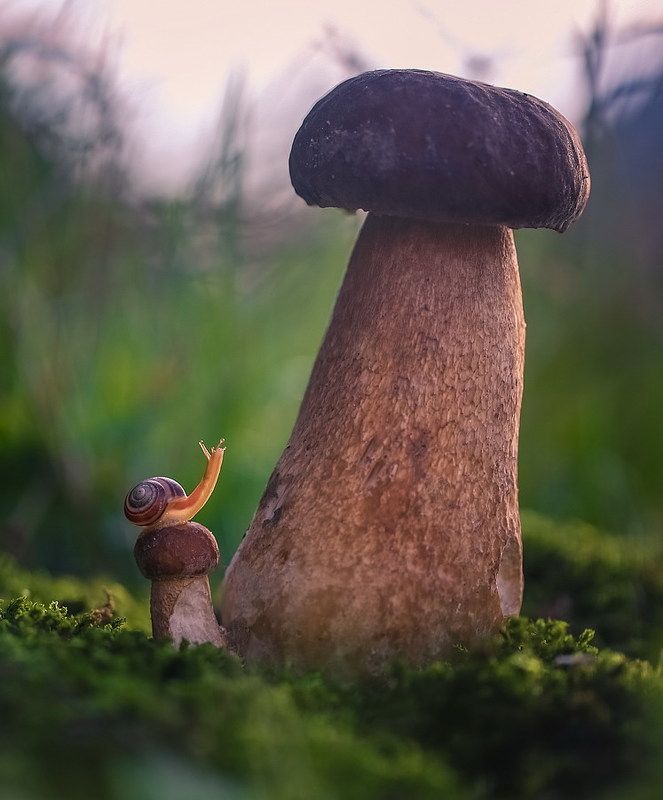 У каждого из нас свой Вавилонphoto preview