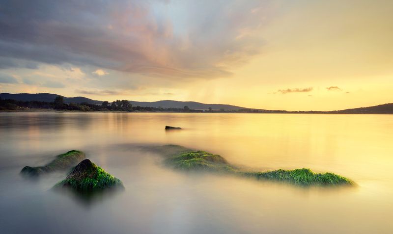 Зеленые островаphoto preview