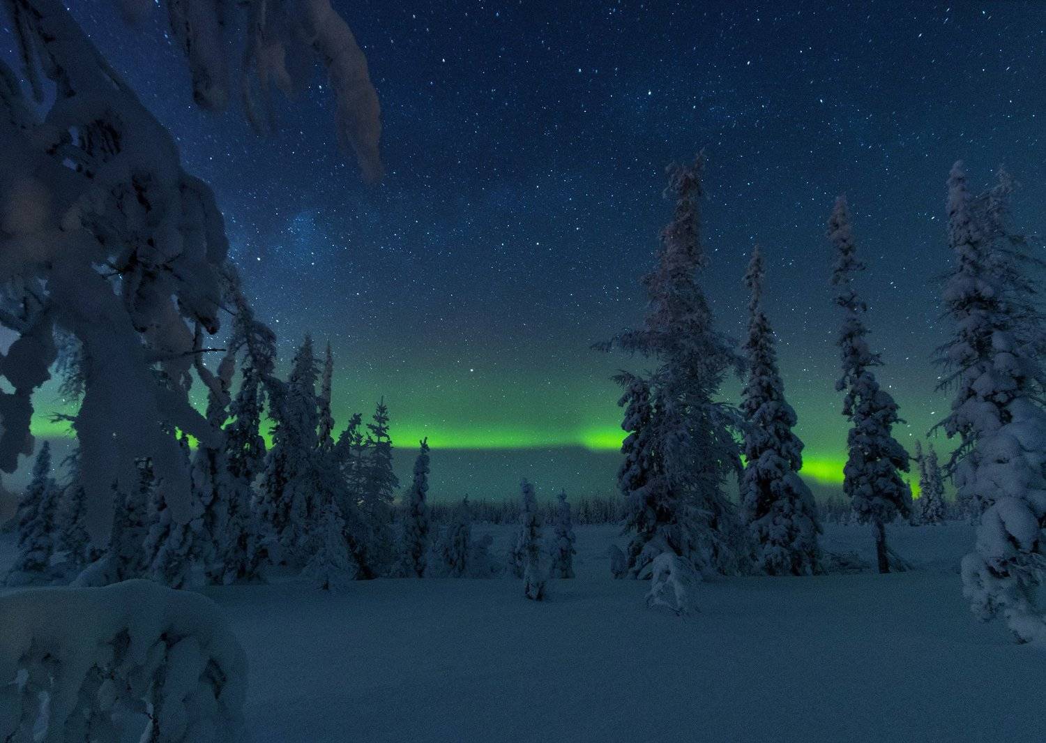 ямал ,салехард ,северное сияние ,ямал, янао ,аврора,природа, полярный урал, ночь, пейзаж, Настя Братка