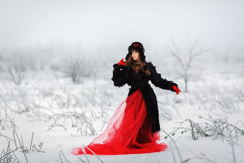 красное, черное, белое, арт, художественный, зимний, мода, цвет, Красное. Черное. Белое.photo preview