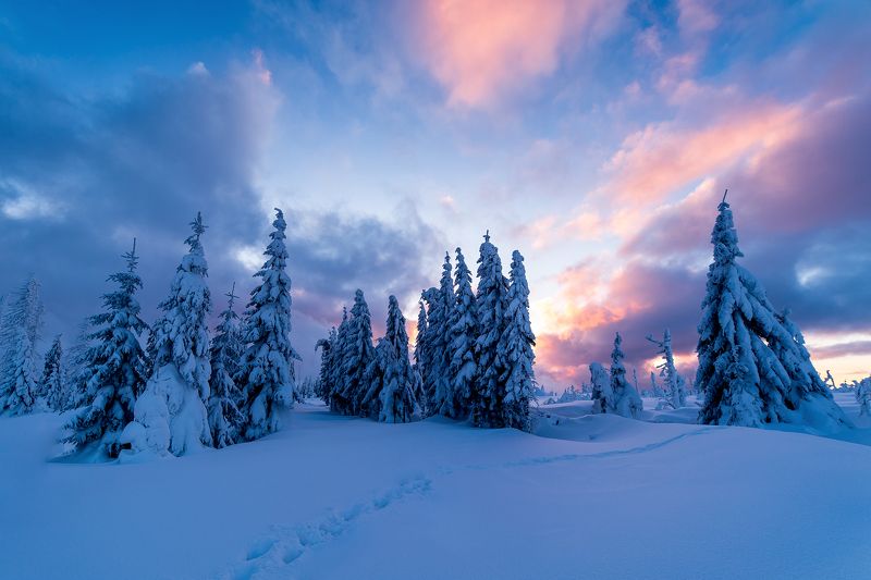 winter,sunrise,sunset,nature,sky,clouds,snow,snowy,frozen,frosty,trees,way,czech,landscape,scene Frozen sunrisephoto preview