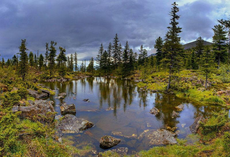 хакасия,борус В западных  Саянах.photo preview