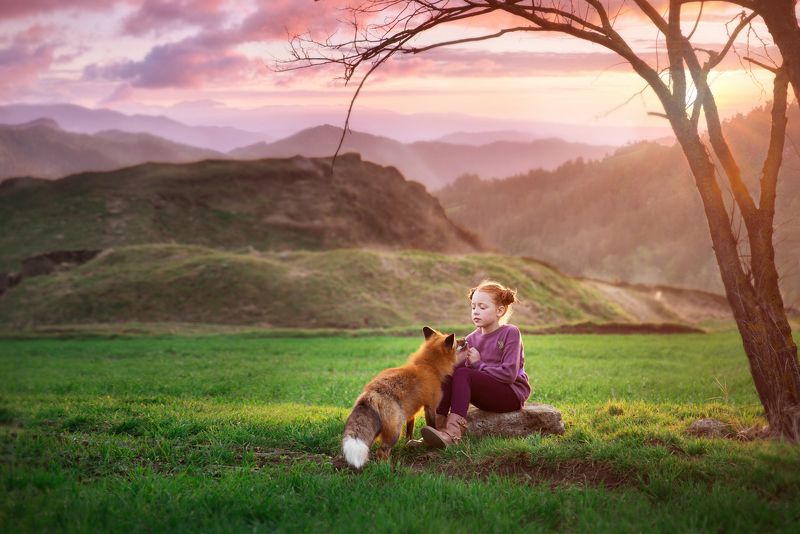Девочка и Лисёнокphoto preview