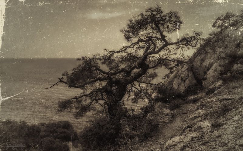 Когда-то в Крыму...photo preview