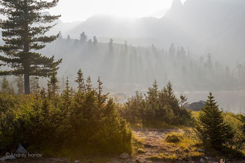 пейзаж природа ергаки озеро радужное туман утро Туманное утроphoto preview