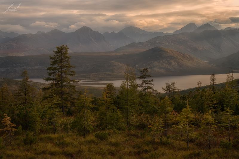 Живописный Джекphoto preview