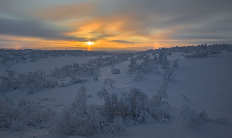 ...про февральское солнцеphoto preview