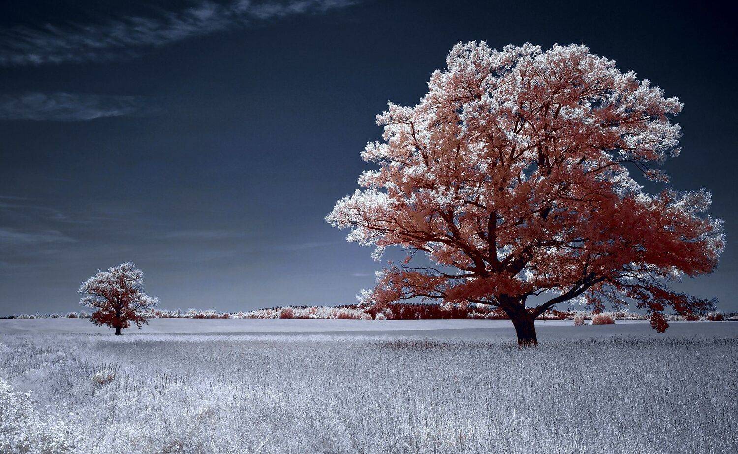 infrared,ик-фото,инфракрасное фото, инфракрасная фотография, пейзаж, лето, беларусь, Sixten ( Сергей )