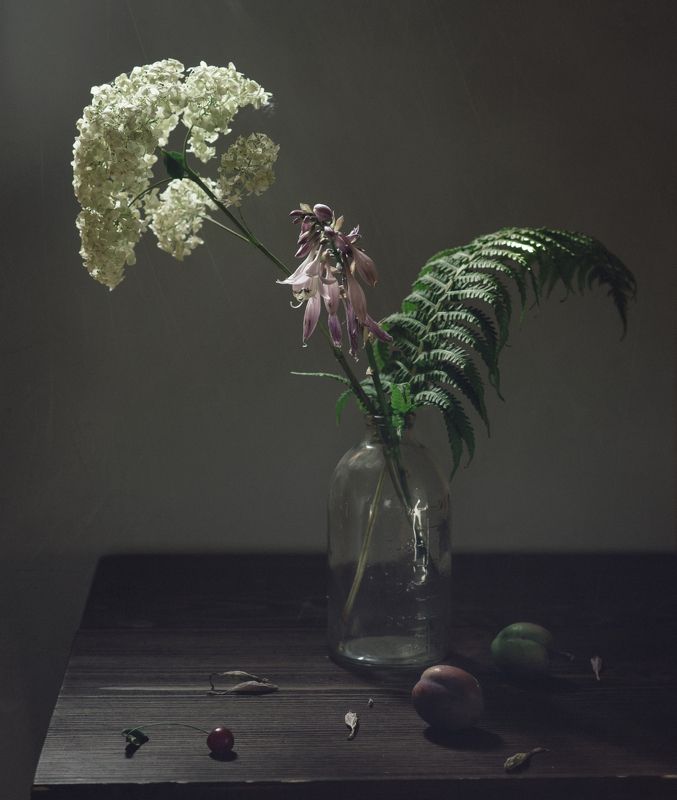 слива, цветы, гортензия, папоротник с неспелыми сливамиphoto preview