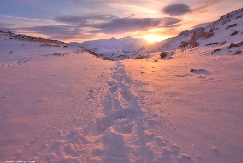Навстречу солнцу фото превью