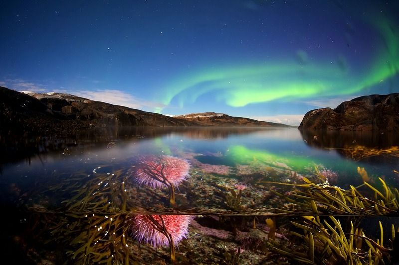 кольский полуостров, север, полярное сияние, сплит Магия полярной ночиphoto preview