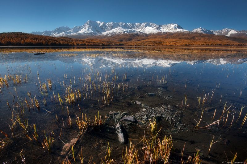 алтай, курай, пейзаж, осень, горы, озеро, зеркало, ледник, отражение Караколь фото превью