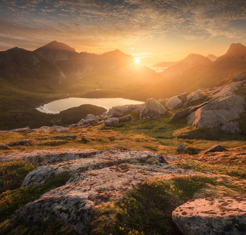 #lofoten, #norway, #summer, #лофотены, #острова, #норвегия Fageraphoto preview