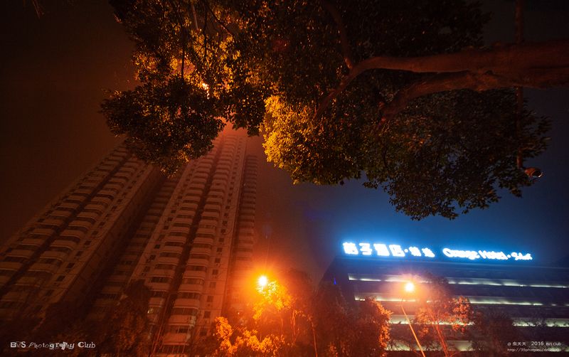 城市之光 Light of the cityphoto preview