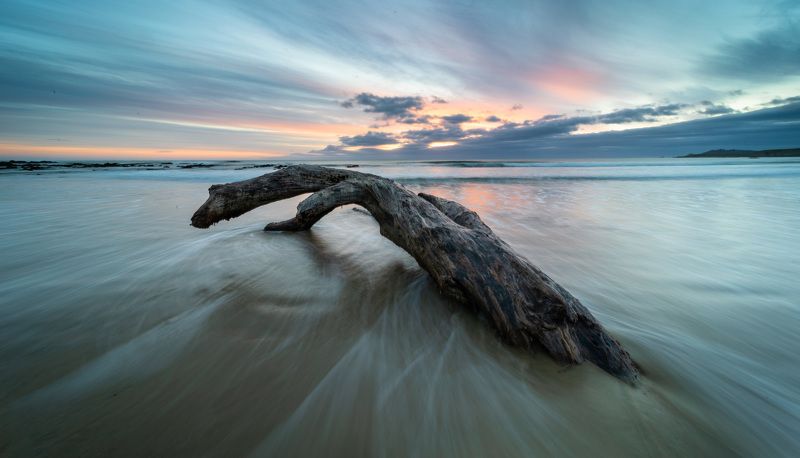 Драконphoto preview