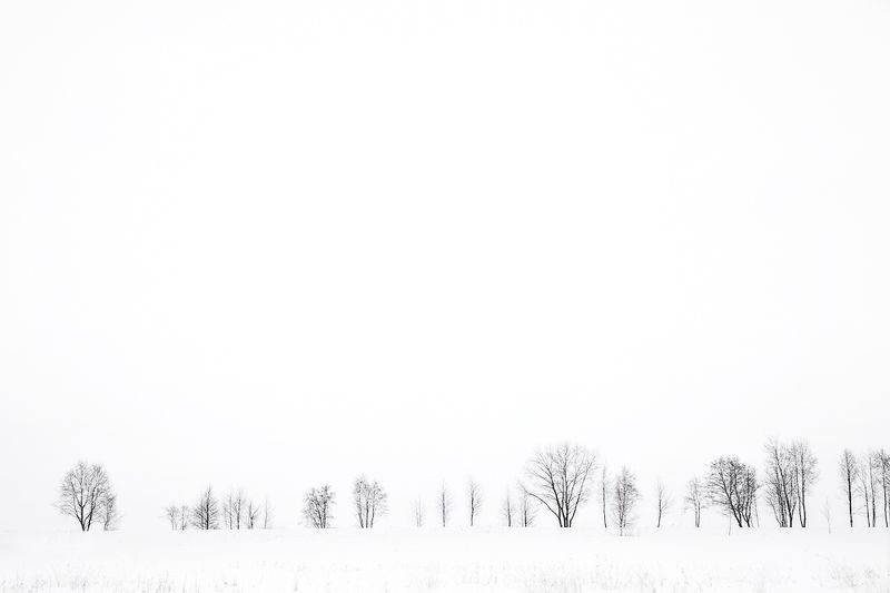 штрихкод, пейзаж, зима, чб Штрихкодphoto preview