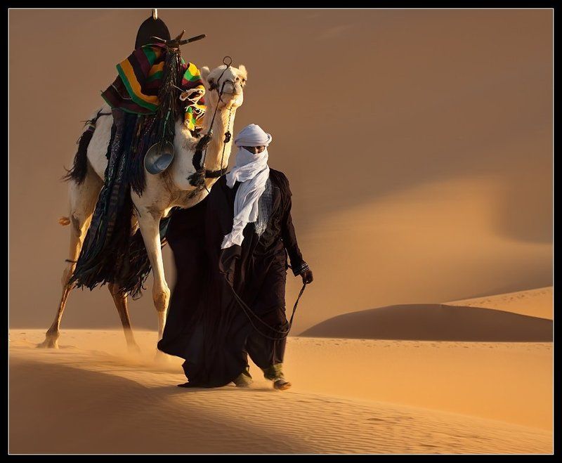 сахара, караван,ливия, дюна, песок, туарег Али....photo preview