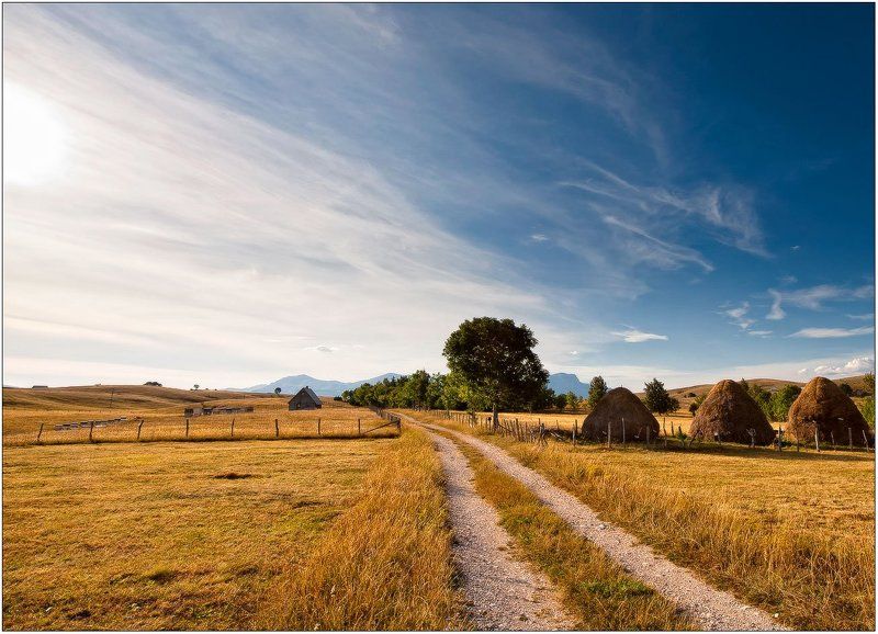 горы,горная деревня,дорога,дом дорога к дому...photo preview