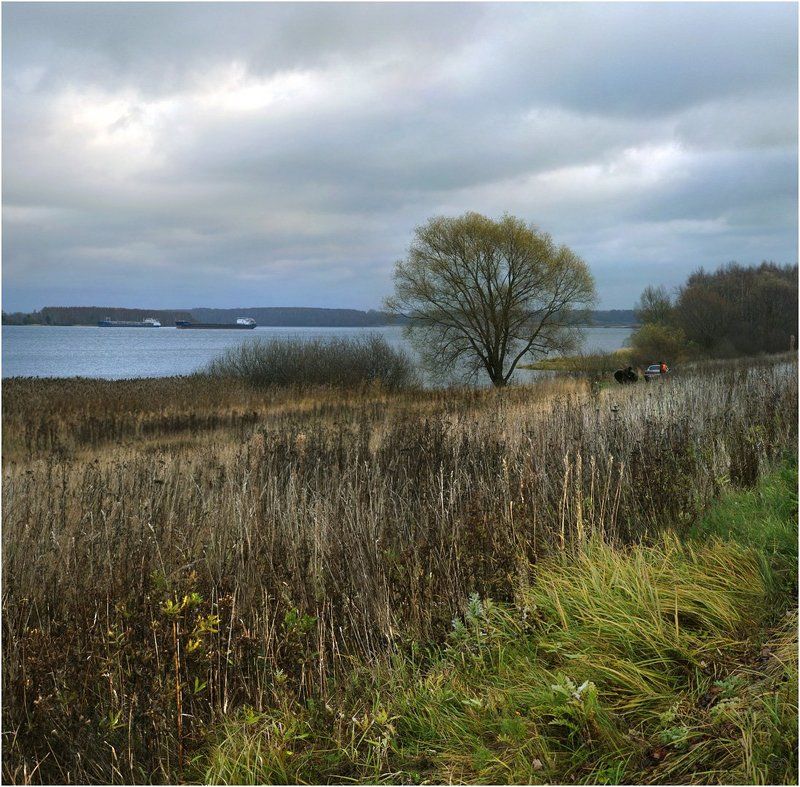 Ноябрь на Верхней Волгеphoto preview