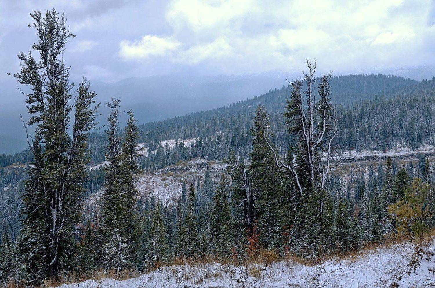 , Евгений strannik521