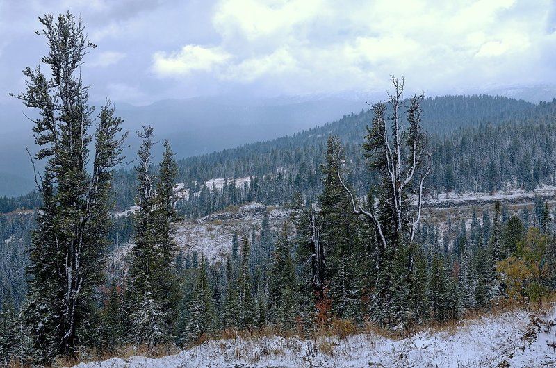 Ойский хребет.photo preview