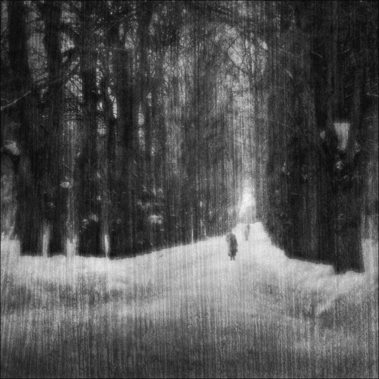 Павловск. Автор: Vladimir Markov , Vladimir Markov