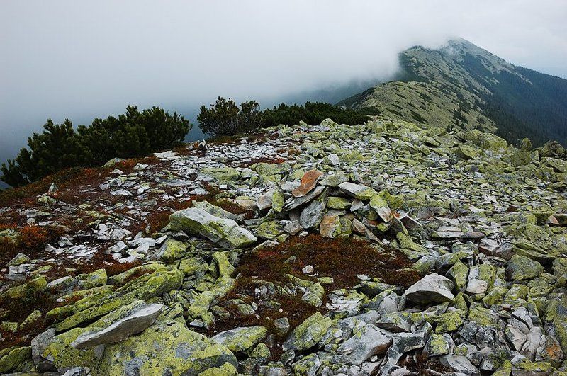 карпати Ґорґанські розсипи / Placers of Gorganyphoto preview