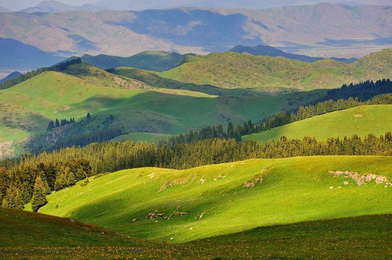 табан карагой, плато, казахстан плато Табан-Карагойphoto preview