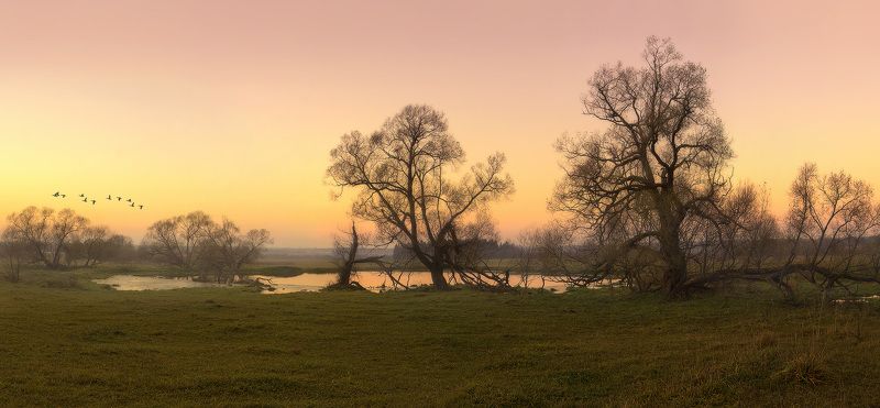 пейзаж, осень вот и осень пришла...photo preview