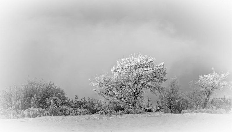 УТРО - морозное...photo preview