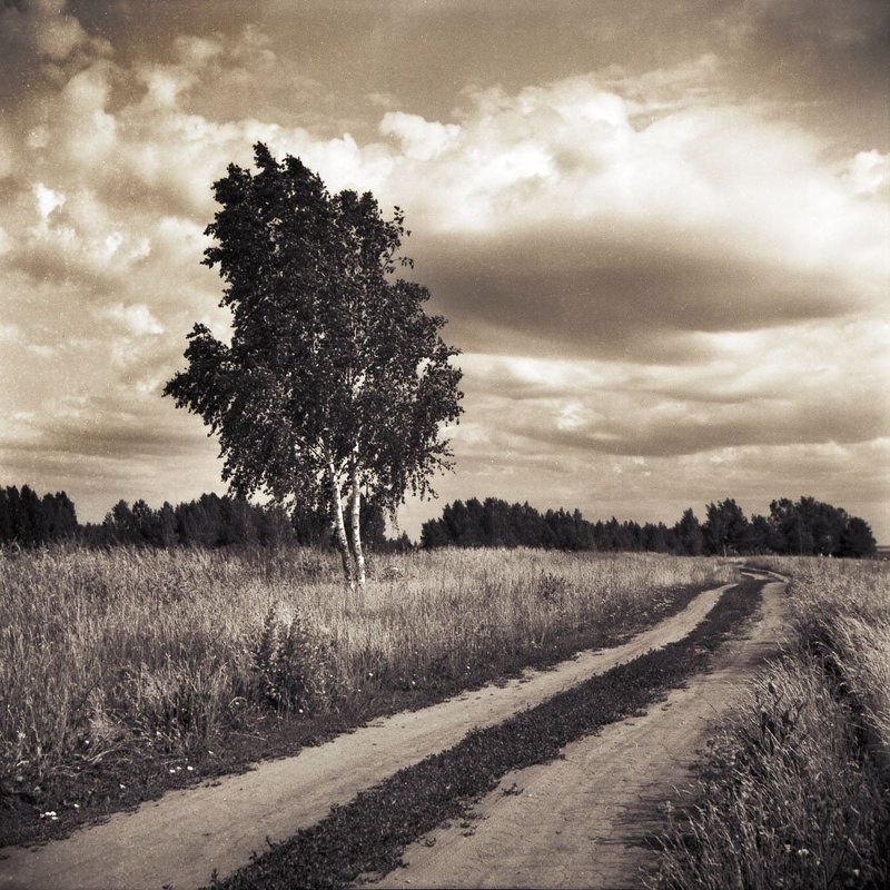 Pastoralphoto preview