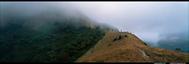 мунар, индия, панорама, горы, облака Облачный Мунарphoto preview