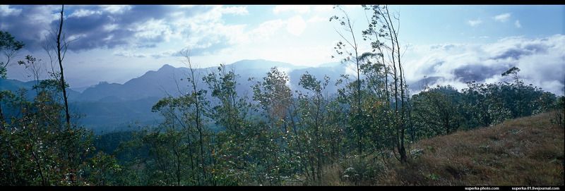 мунар, индия, горы, облака, деревья Мунар, Индия.photo preview