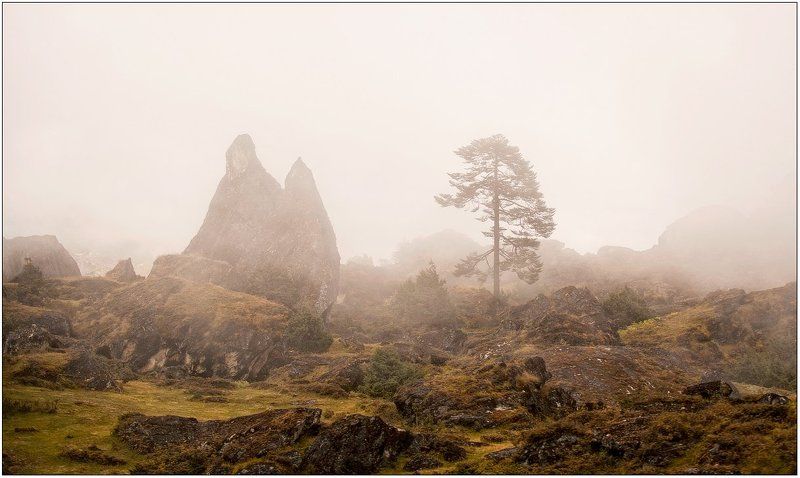 осень...photo preview