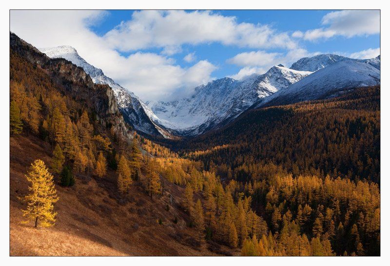 алтай ОСЕННИЕ  ПОКРЫВАЛА  АЛТАЯphoto preview