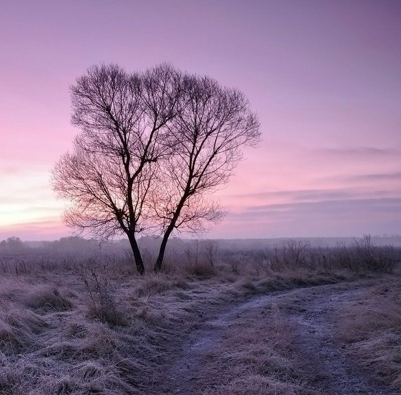 природа, пейзаж ***photo preview