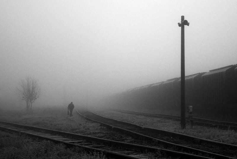 ... фото превью