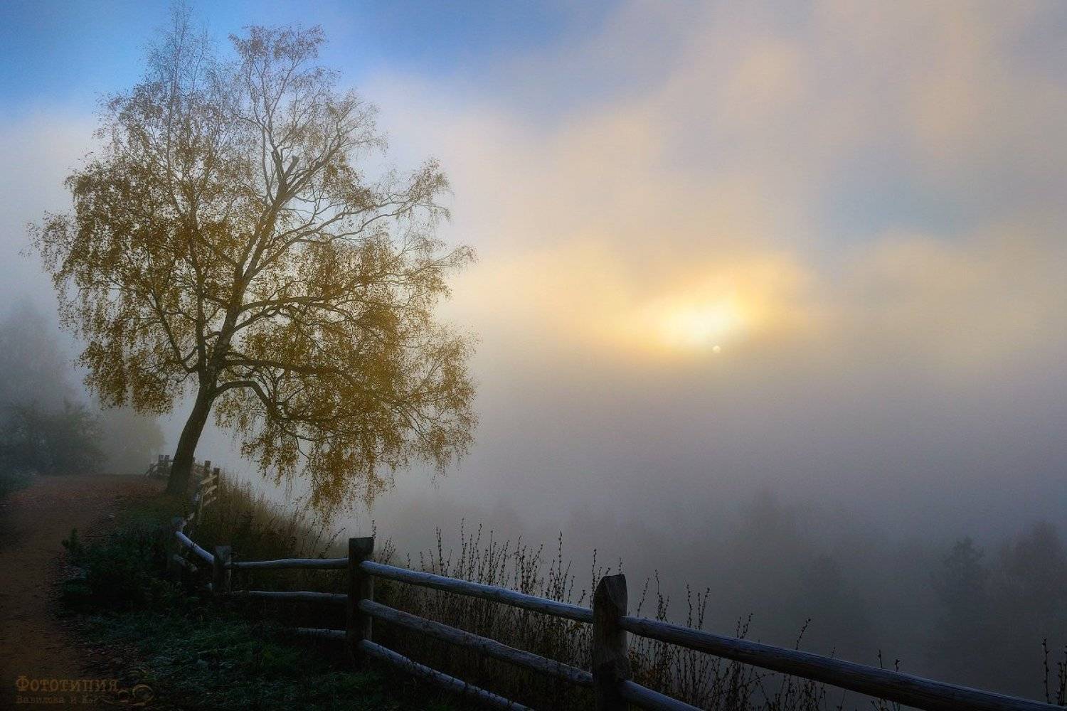 утро, туман, восход, плёс, плес, Вавилов Митя