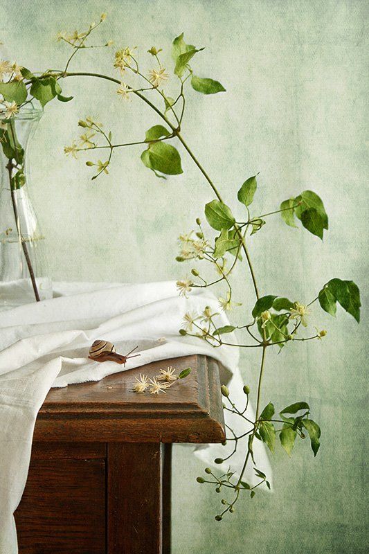 Любопытнаяphoto preview