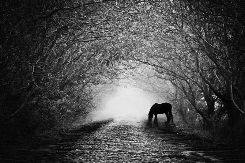 Туннельphoto preview