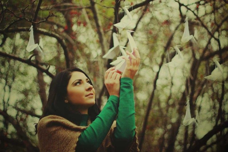 а что, если птицы поют от боли?photo preview