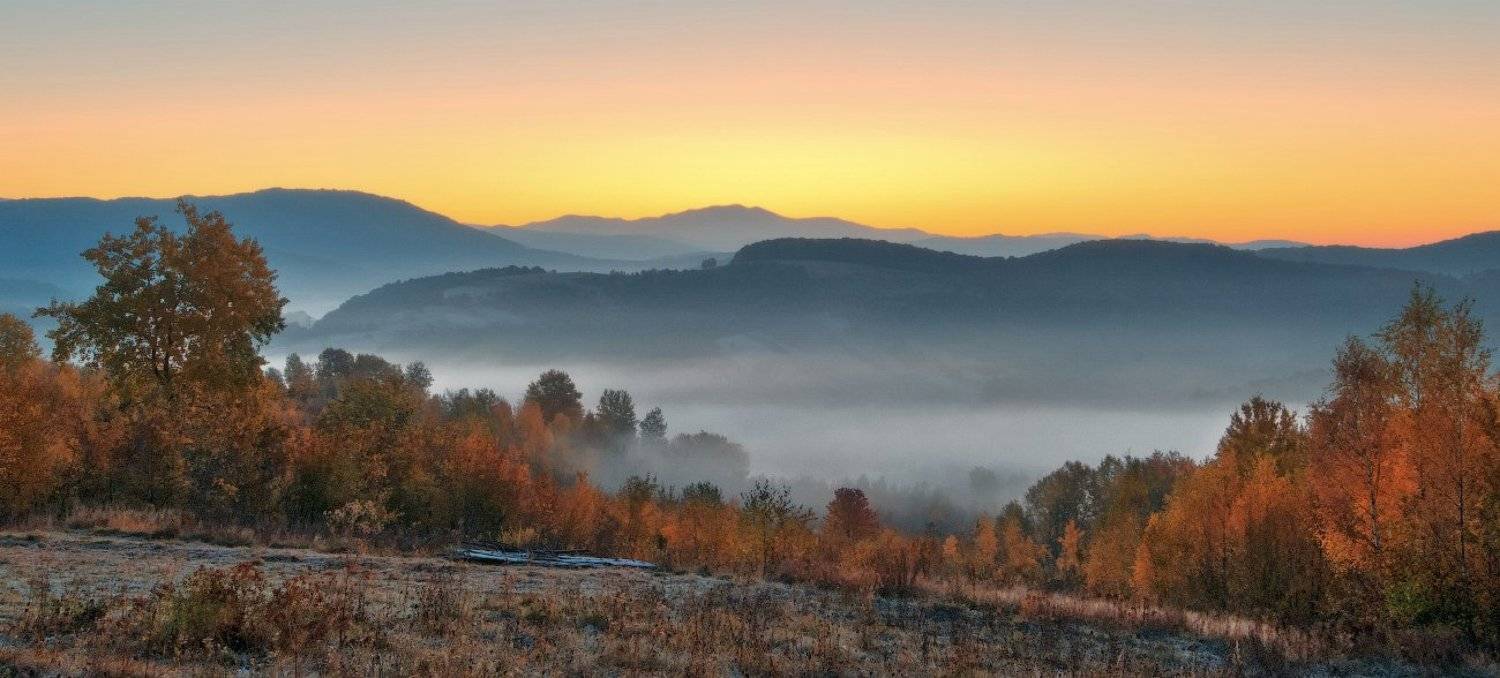 ***. Автор: Duru , Duru