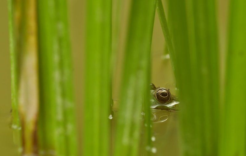 Взгляд из за кулисphoto preview