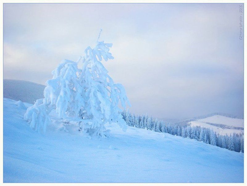 осень, зима, карпаты in a World of Dreams and Freedom...photo preview