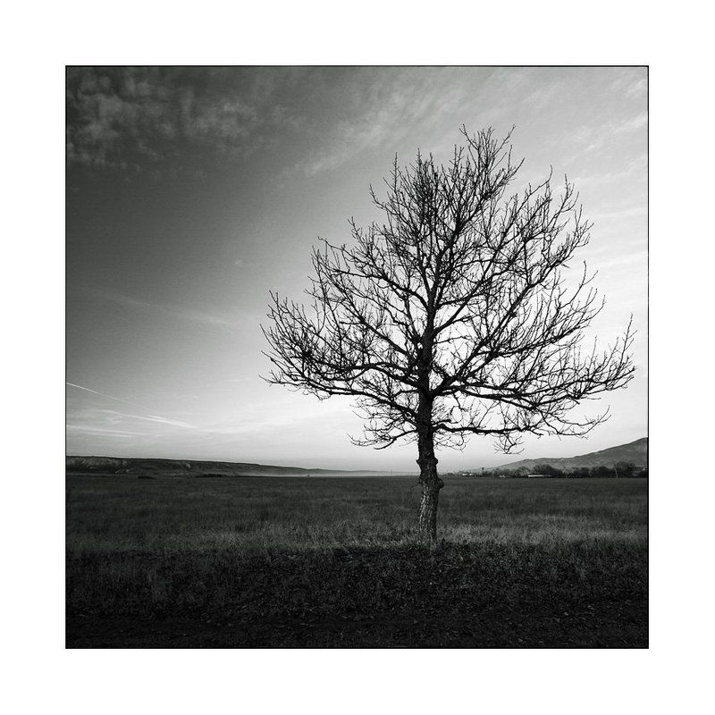 Рождение тумана...photo preview