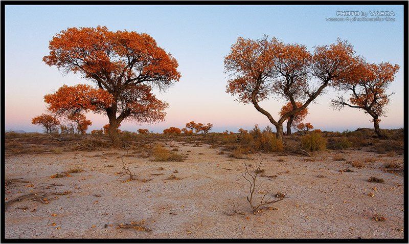 photo, safari, kazakhstan, nature, season, казахстан, природа Времена Годаphoto preview