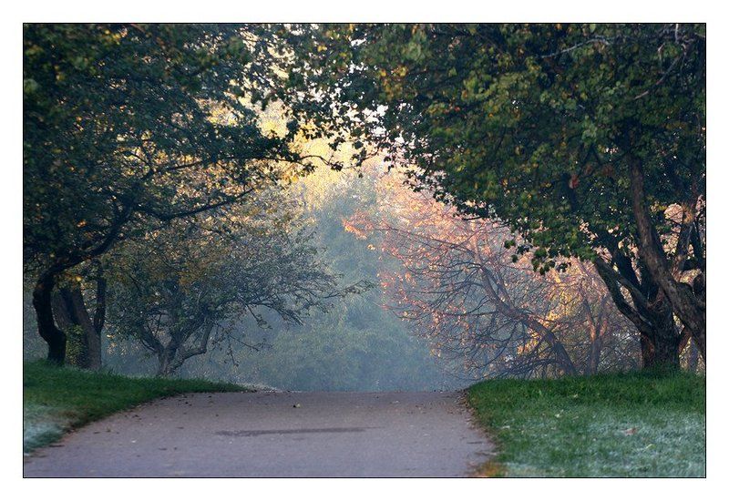 Аркаphoto preview