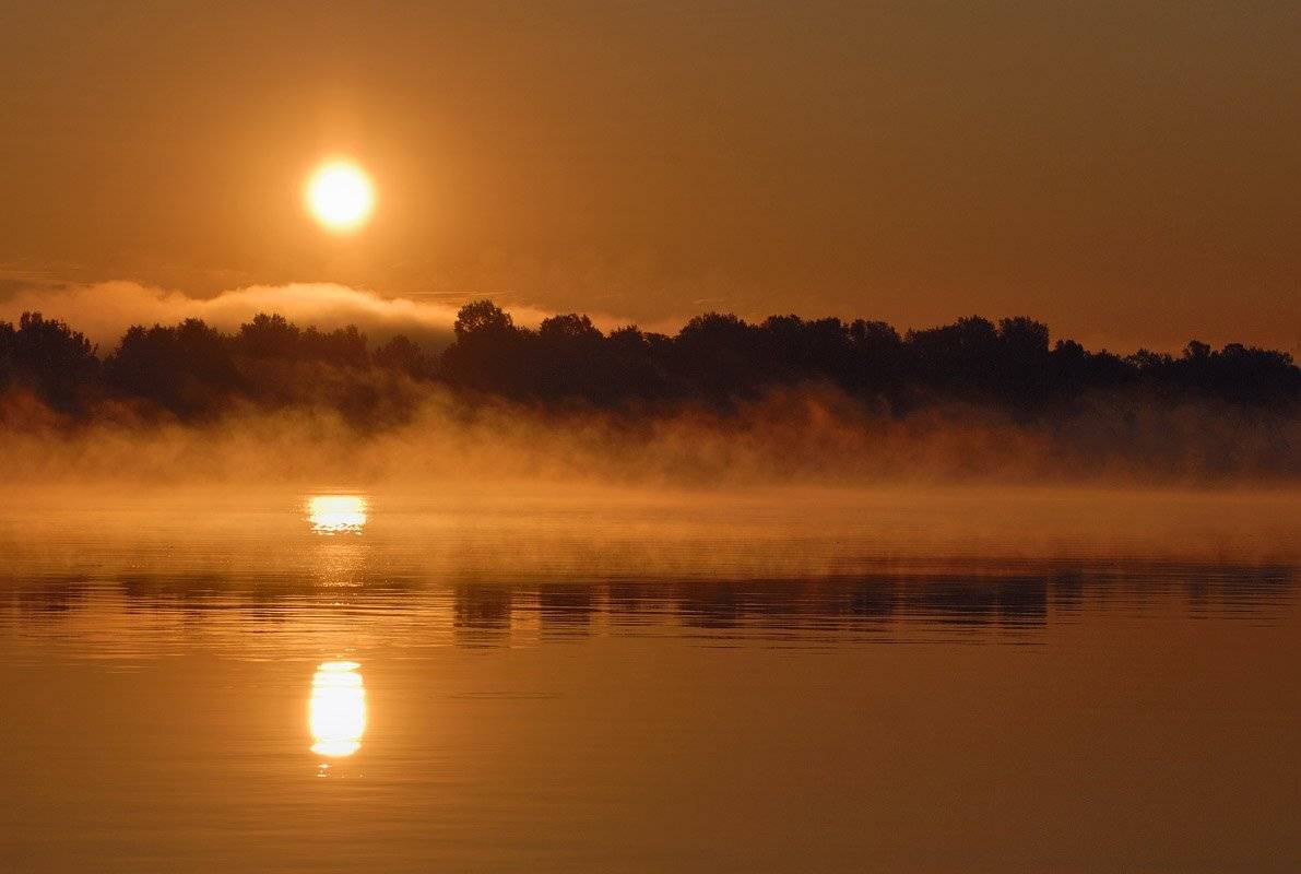 Утренний бутерброд. Автор: Александр , Александр