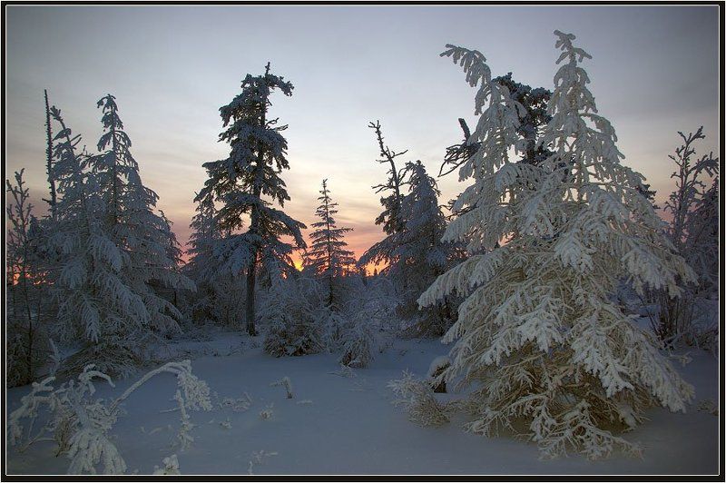 тайга, вечер, зима, мороз, приполярье Зимний вечерphoto preview
